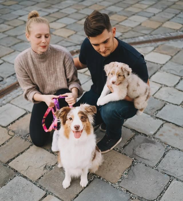 Family with Australian Shepherds
