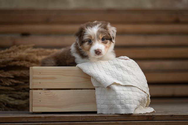 After All portrét 1