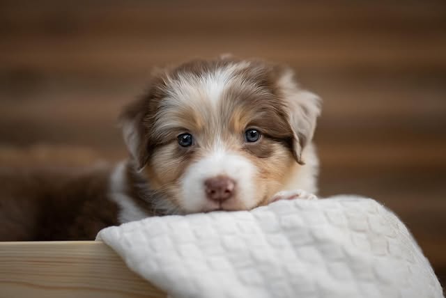 After All portrét 2