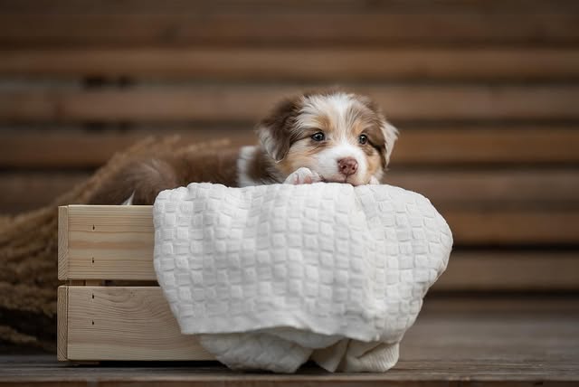 After All portrét 3