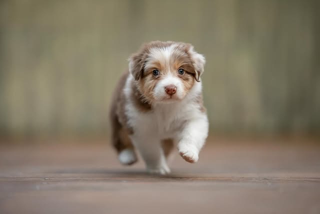 After All portrét 4