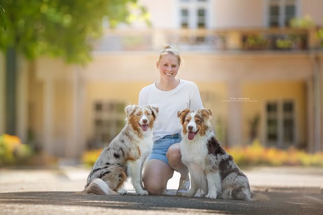 Portrét Bowie v interiéru