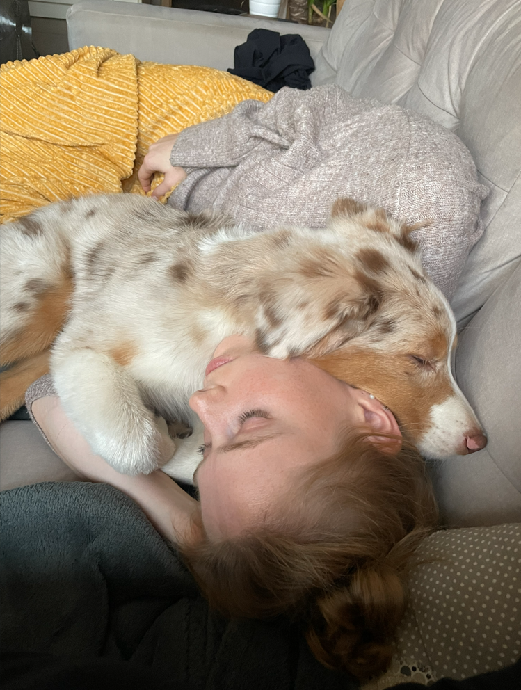 Ilustrační obrázek