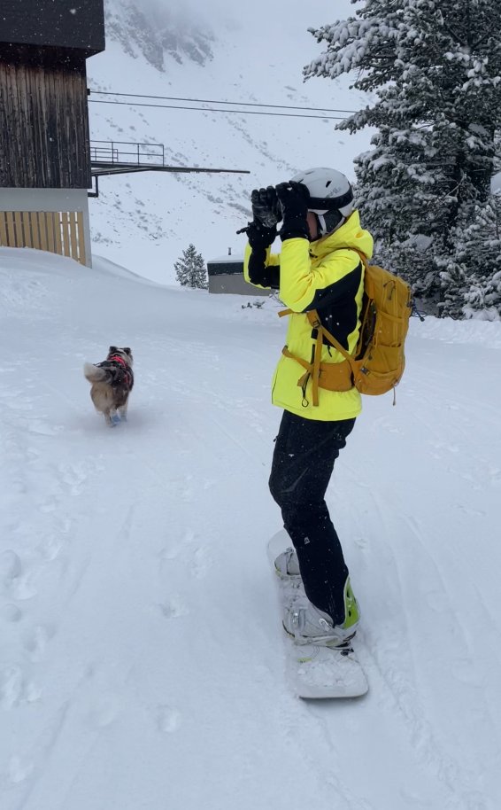 Ilustrační obrázek